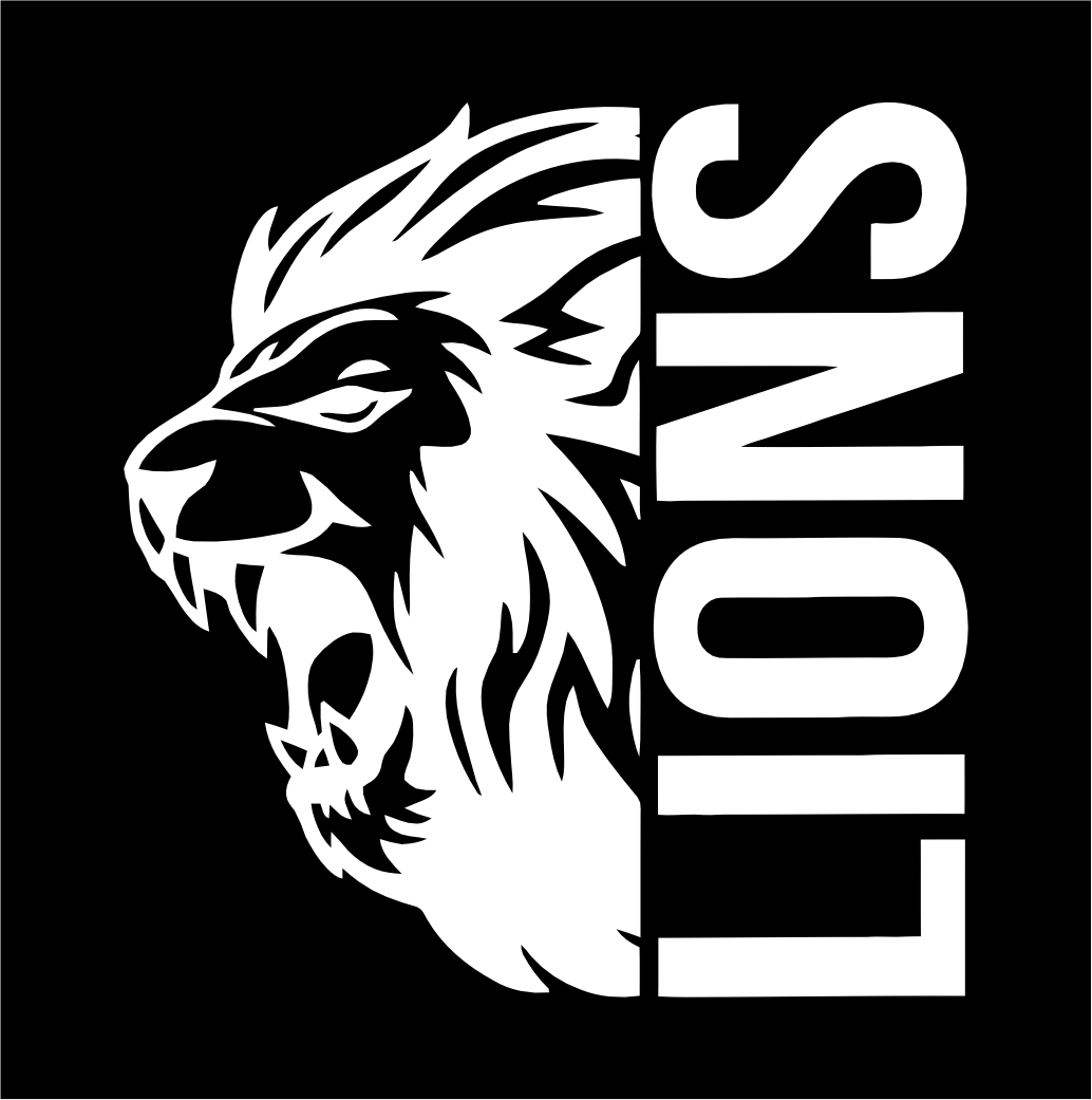 Lions 11