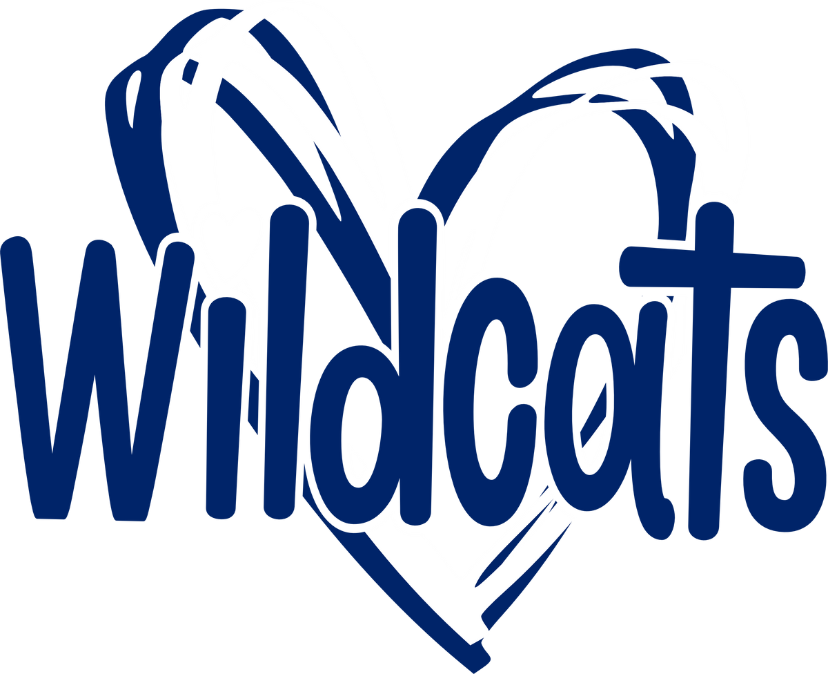 Wildcats 3